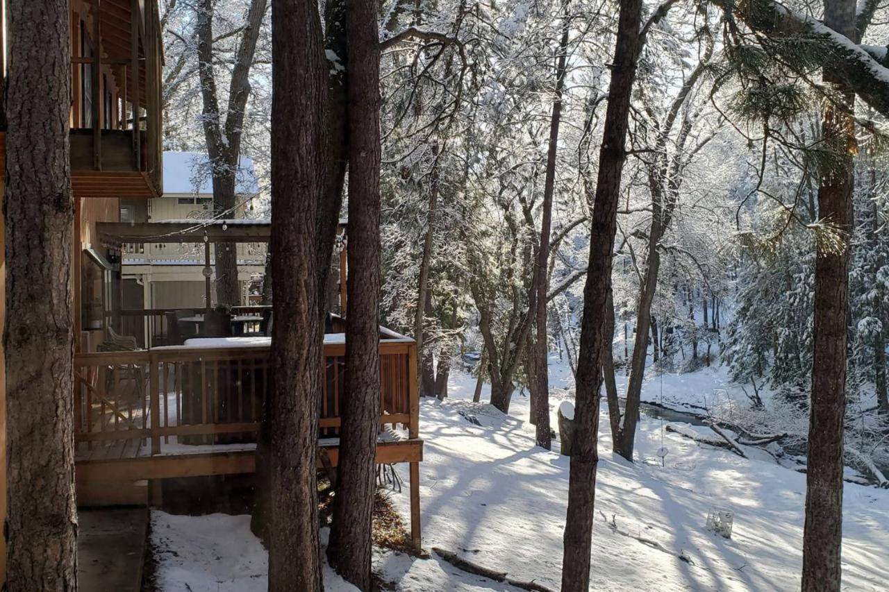 Creekside Cabin Groveland Extérieur photo